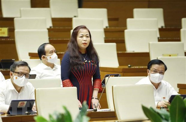 Đại biểu Quốc hội thành phố Hà Nội Vũ Thị Lưu Mai. (Ảnh: Doãn Tấn/TTXVN) Phát triển trước, chạy chữa sau: Hiểm họa 'phá môi trường lấy kinh tế' ảnh 4