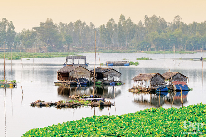 Đắm say với thiên nhiên và đặc sản An Giang mùa nước nổi ảnh 13