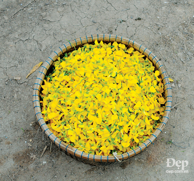 Đắm say với thiên nhiên và đặc sản An Giang mùa nước nổi ảnh 15