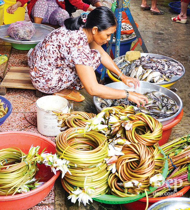 Đắm say với thiên nhiên và đặc sản An Giang mùa nước nổi ảnh 9