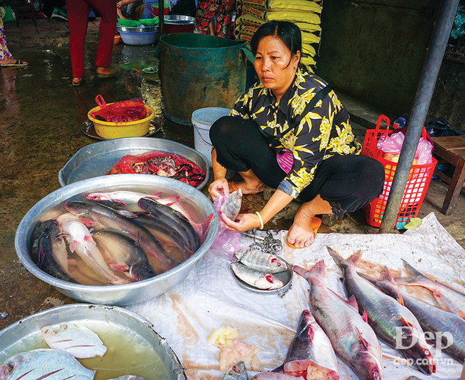 Đắm say với thiên nhiên và đặc sản An Giang mùa nước nổi ảnh 8