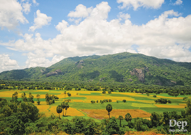 Đắm say với thiên nhiên và đặc sản An Giang mùa nước nổi ảnh 12