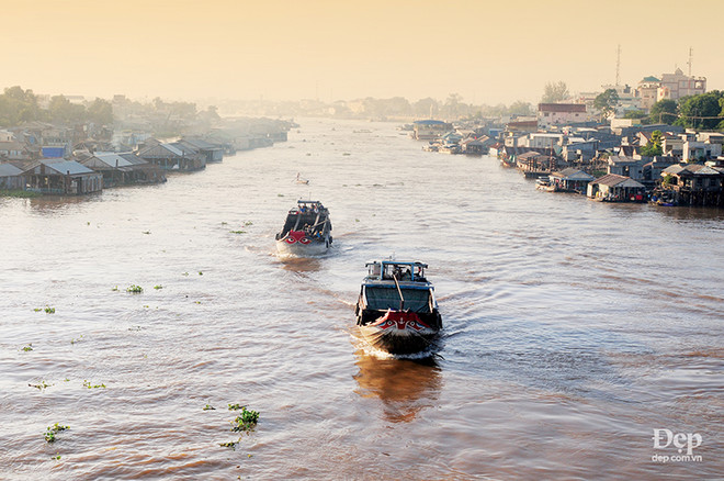 Đắm say với thiên nhiên và đặc sản An Giang mùa nước nổi ảnh 2