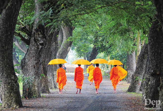 Đắm say với thiên nhiên và đặc sản An Giang mùa nước nổi ảnh 11