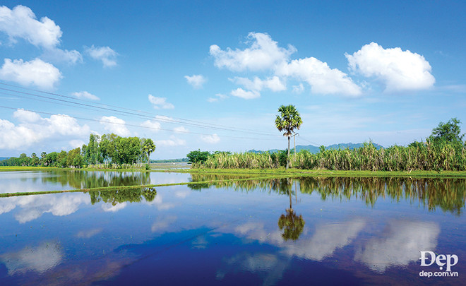 Đắm say với thiên nhiên và đặc sản An Giang mùa nước nổi ảnh 4