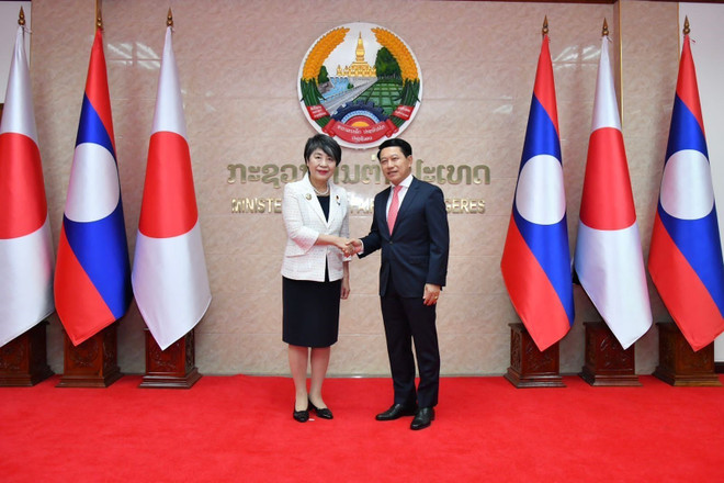 Nhật Bản sẵn sàng hợp tác để giúp Lào giải quyết khó khăn về kinh tế ảnh 1