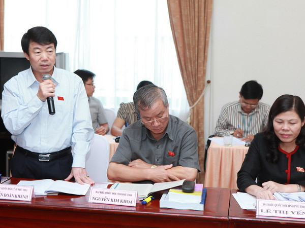 Hạn chế giao Chính phủ quy định điều khoản thi hành Luật ảnh 1