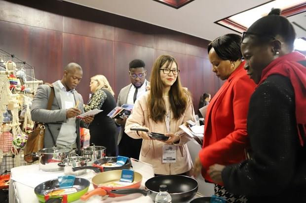 Việt Nam-Nam Phi thúc đẩy hợp tác kinh tế và thương mại ảnh 1