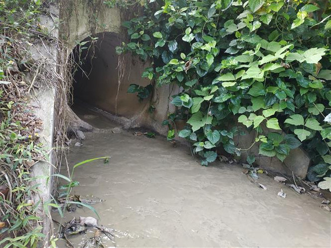 Tái sử dụng nước thải - giải pháp hữu hiệu bảo vệ môi trường ảnh 1