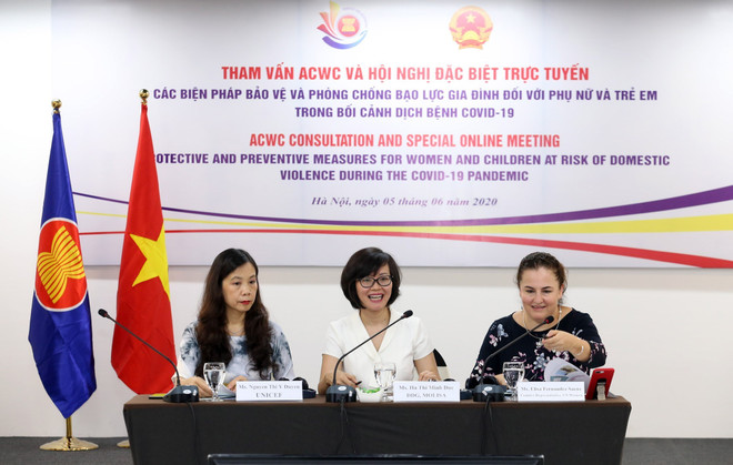 ASEAN tăng phòng chống bạo lực gia đình trong bối cảnh dịch COVID-19 ảnh 1