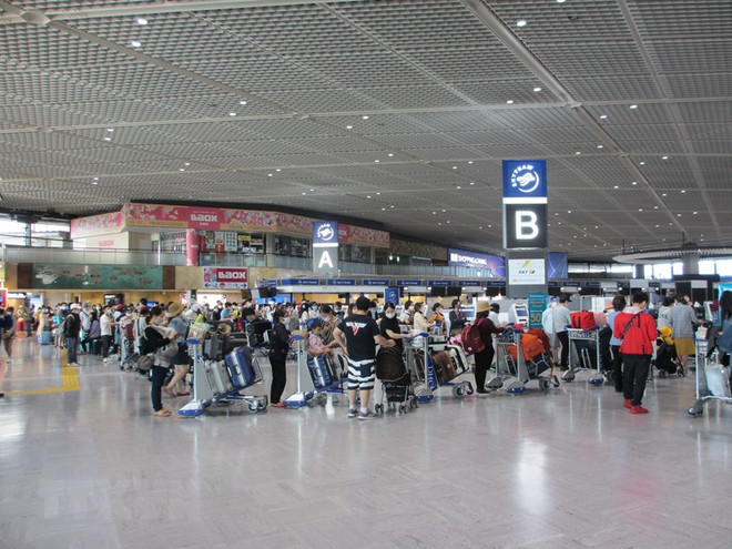 Đưa hơn 340 công dân Việt Nam từ Nhật Bản về nước an toàn ảnh 1