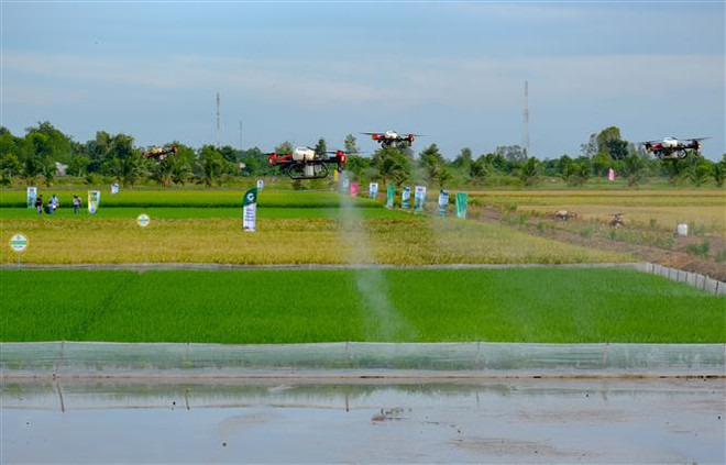 Đầu tư công hỗ trợ tăng trưởng kinh tế thành phố Cần Thơ ảnh 3