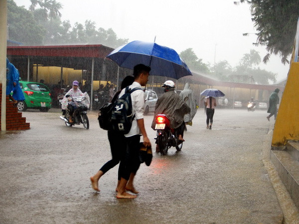 (Ảnh minh họa: Quân Trang/TTXVN) Đêm 24/6, mưa to sẽ xuất hiện tại các tỉnh trung du và vùng núi Bắc Bộ ảnh 1
