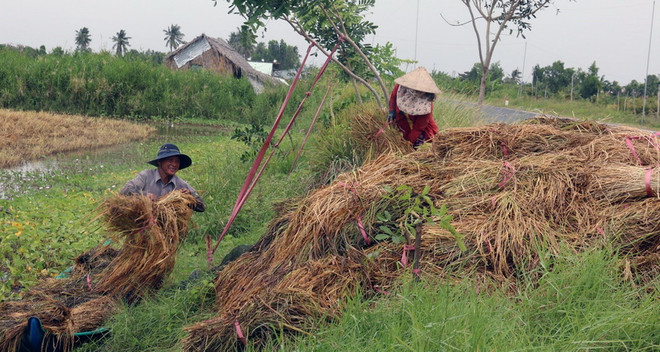 Kiên Giang cho toàn bộ học sinh, sinh viên nghỉ học 2 ngày tránh bão ảnh 3