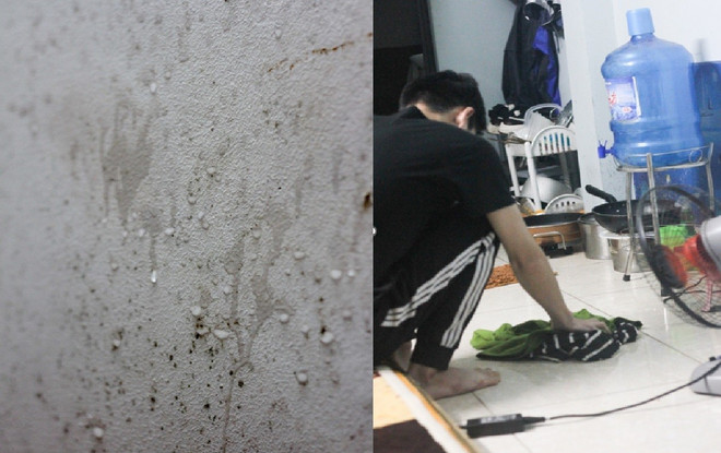 Chuyên gia: Miền Bắc sẽ đón đợt rét từ đêm 13/2 sau đợt nồm, ẩm ảnh 1