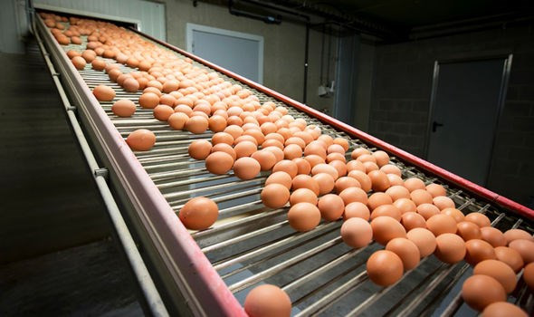 Bê bối "trứng bẩn" tại châu Âu tiếp tục lan rộng ra ngoài khu vực ảnh 1