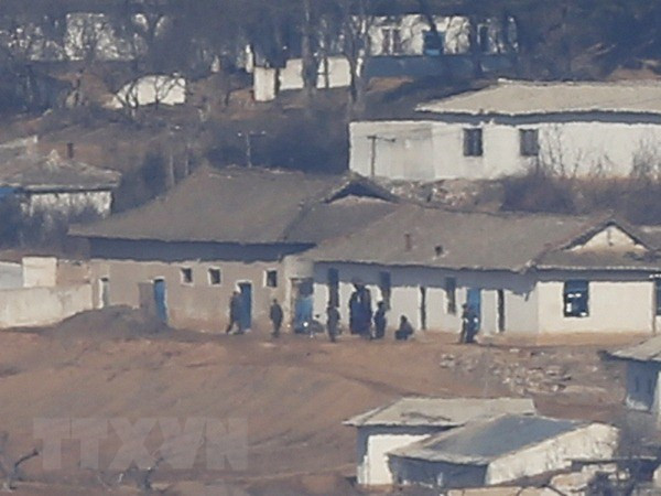 Phó Tổng thư ký LHQ tới Triều Tiên đàm phán về viện trợ lương thực ảnh 1