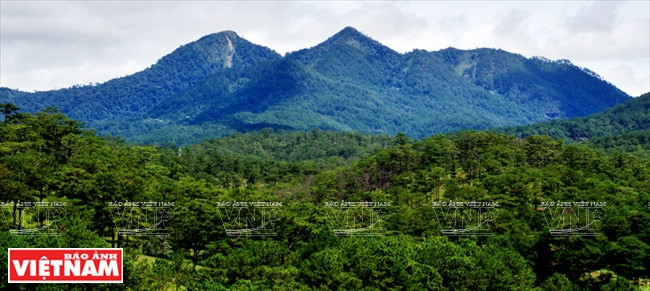 Thung lũng Tình yêu - “nàng thơ” ngủ giữa cao nguyên Đà Lạt ảnh 11