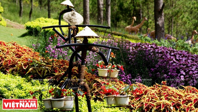 Thung lũng Tình yêu - “nàng thơ” ngủ giữa cao nguyên Đà Lạt ảnh 9