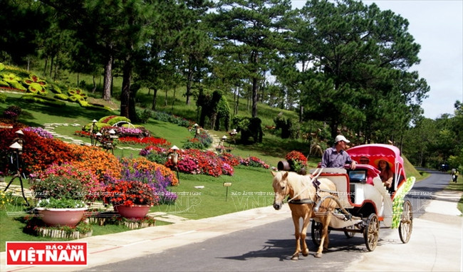 Thung lũng Tình yêu - “nàng thơ” ngủ giữa cao nguyên Đà Lạt ảnh 5