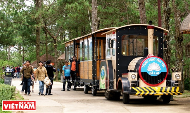 Thung lũng Tình yêu - “nàng thơ” ngủ giữa cao nguyên Đà Lạt ảnh 6