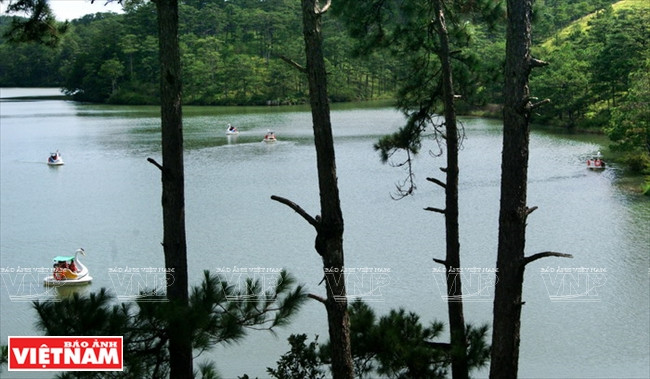 Thung lũng Tình yêu - “nàng thơ” ngủ giữa cao nguyên Đà Lạt ảnh 3