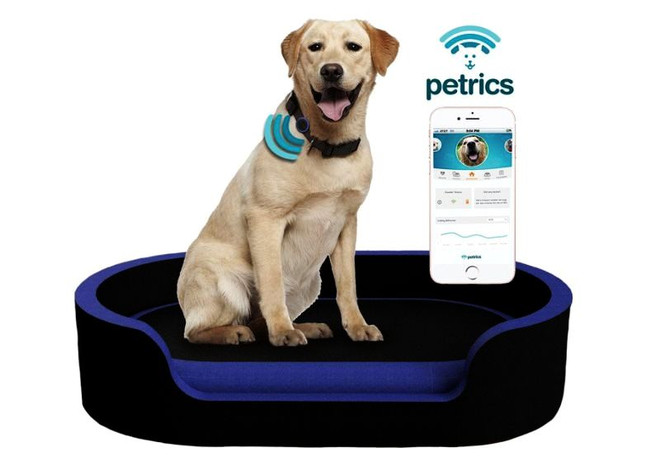 Thiết bị thông minh phục vụ thú cưng tạo sức hút lớn tại CES 2018 ảnh 1