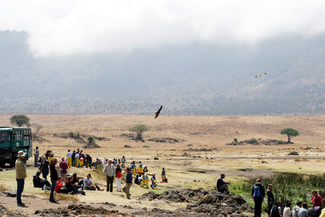 [Photo] "Lùng sục" muông thú ở khu bảo tồn động vật Ngorongoro ảnh 11