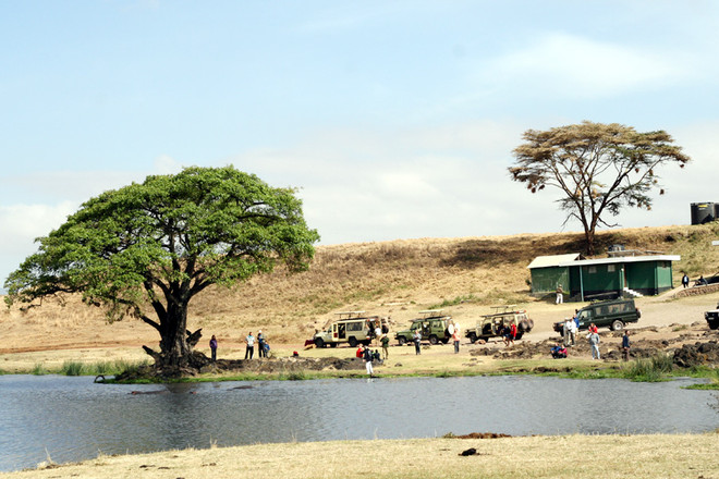 [Photo] "Lùng sục" muông thú ở khu bảo tồn động vật Ngorongoro ảnh 9