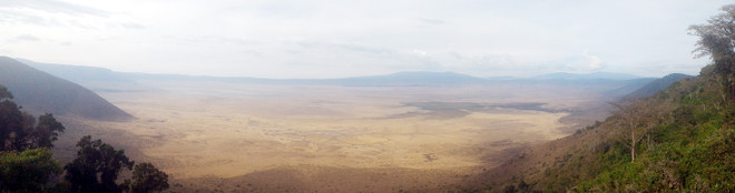 [Photo] "Lùng sục" muông thú ở khu bảo tồn động vật Ngorongoro ảnh 1