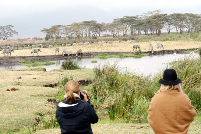 [Photo] "Lùng sục" muông thú ở khu bảo tồn động vật Ngorongoro ảnh 7