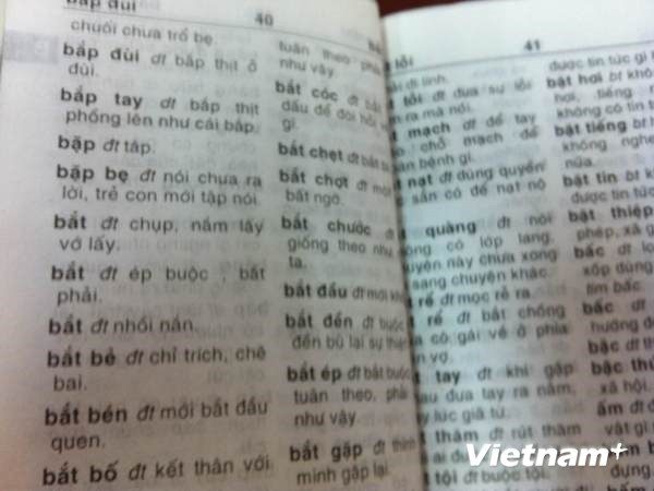 Cuốn "Từ điển tiếng Việt dành cho học sinh" của tác giả Vũ Chất (Ảnh: A.N/Vietnam+) Nhà xuất bản Trẻ thừa nhận sai sót trong vụ "Từ điển Vũ Chất" ảnh 1