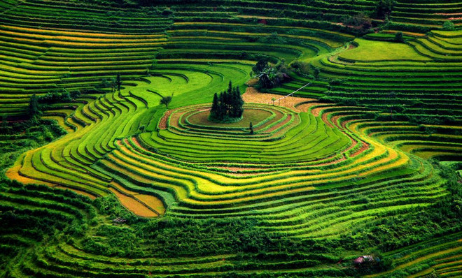 Phiêu cùng với những điểm đến thế giới tràn ngập sắc màu ảnh 2