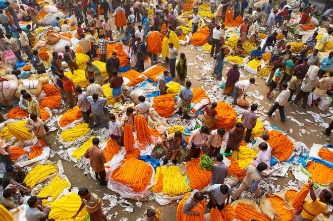 Phiêu cùng với những điểm đến thế giới tràn ngập sắc màu ảnh 4