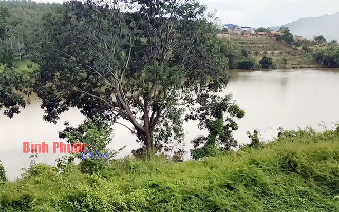 Bình Phước: Phát hiện thi thể người đang phân hủy dưới đập nước ảnh 1