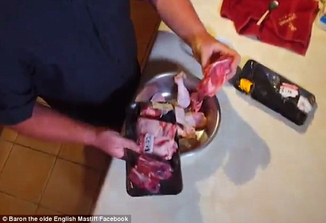 [Photo] Chú chó khiến người chủ "toát mồ hôi" vì tiền thức ăn ảnh 5