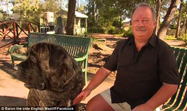 [Photo] Chú chó khiến người chủ "toát mồ hôi" vì tiền thức ăn ảnh 6