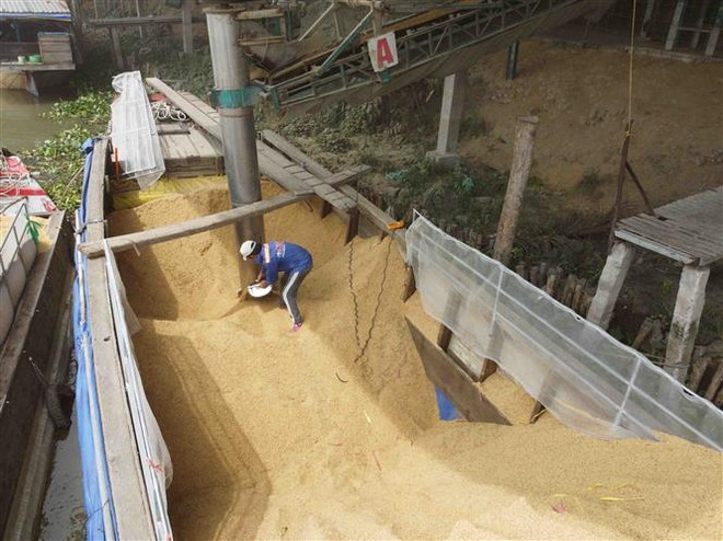 Doanh nghiệp xuất khẩu gạo Việt vẫn "đói" các đơn hàng lớn ảnh 1