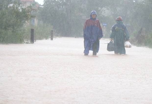 Nam Trung Bộ và Tây Nguyên có mưa to đến rất to, Bắc Bộ trời nắng ảnh 1
