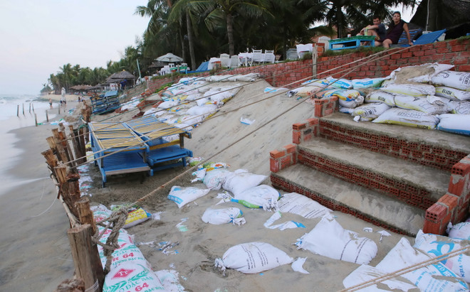 Hà Lan giúp tỉnh Quảng Nam ngăn chặn xói lở bờ biển Cửa Đại ảnh 2