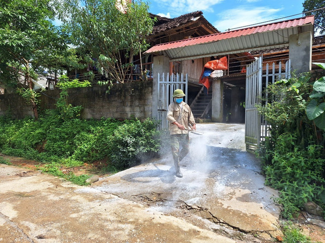 Lợn chết không báo cáo, Bắc Kạn bùng phát dịch tả lợn châu Phi ảnh 1