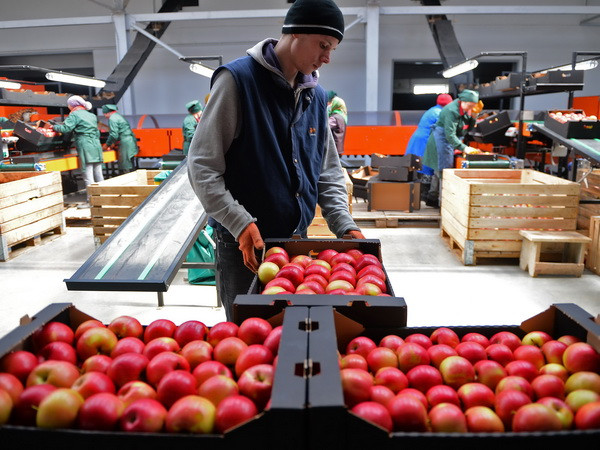 Nga sẽ kéo dài lệnh cấm vận thực phẩm đối với Phương Tây ảnh 1