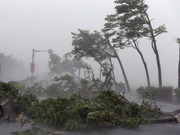 Bão Meranti gây thiệt hại lớn khi quét qua lãnh thổ Đài Loan ảnh 1
