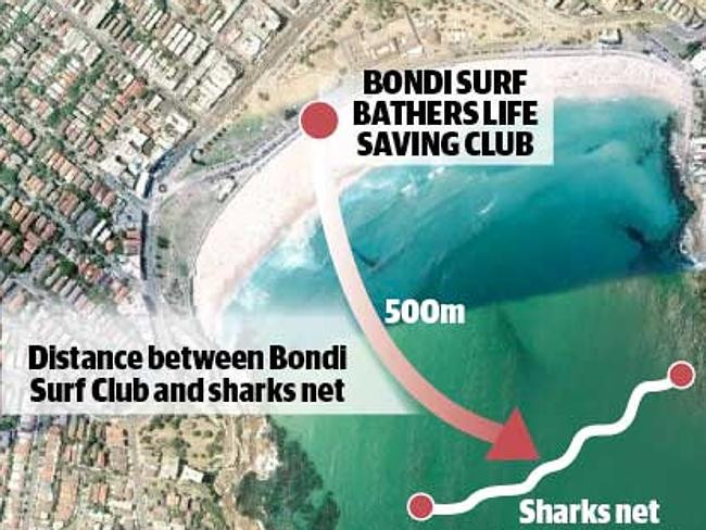 Lưới chống cá mập chỉ đem lại cảm giác “an toàn giả tạo” ảnh 4