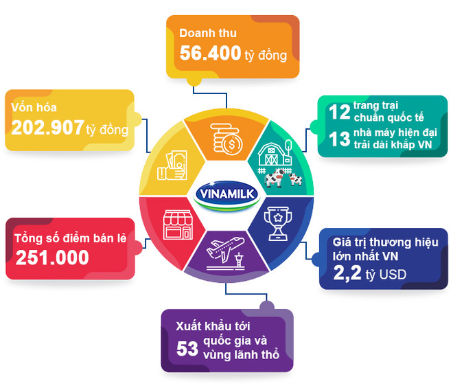 Quy mô doanh nghiệp tính đến 30/12/2019. Vinamilk tiếp tục trong nhóm công ty kinh doanh hiệu quả nhất Việt Nam ảnh 2