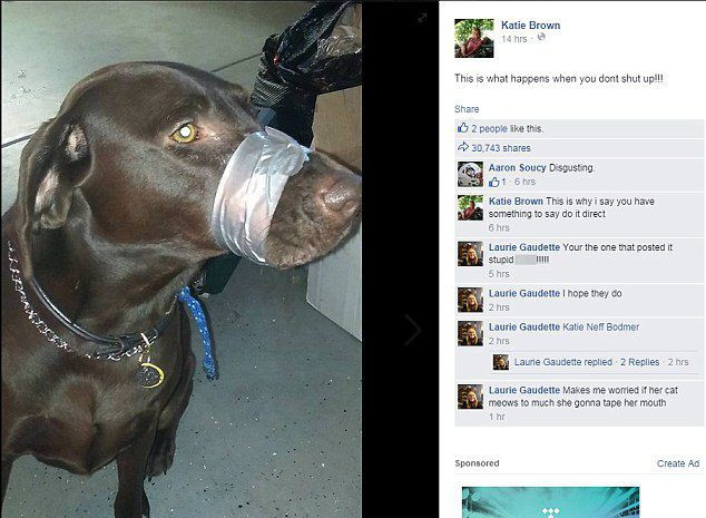 Người chủ quấn băng dính vào mõm chó cưng bị cảnh sát hỏi thăm ảnh 1