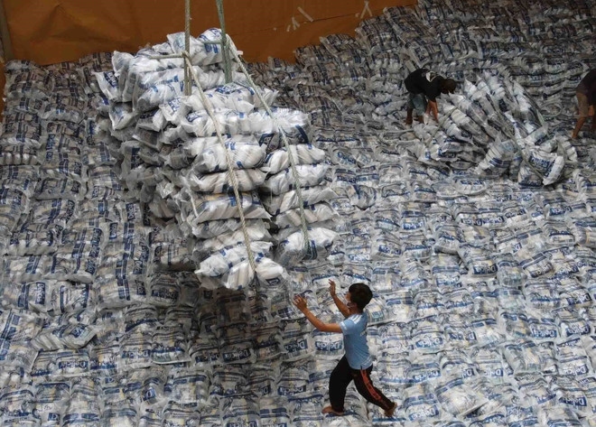 Thị trường nông sản: Giá xuất khẩu gạo cao nhất kể từ giữa tháng 7 ảnh 1