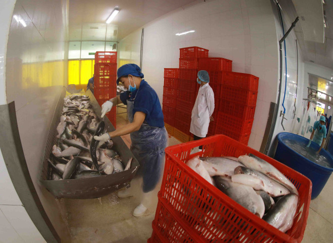 Dịch COVID-19: Hợp tác cung ứng hàng thủy sản cho xuất khẩu ảnh 1