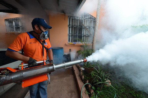 Phát hiện bệnh nhân sốt xuất huyết đầu tiên ở Nhật sau 70 năm ảnh 1