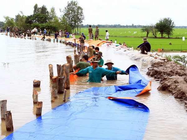 Chống hạn ở ĐBSCL: Đắp đê bao, chuyển đổi cơ cấu cây trồng ảnh 1